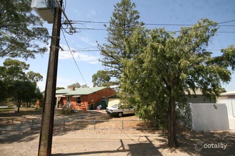 19 Barham Ave, Morphettville, SA 5043