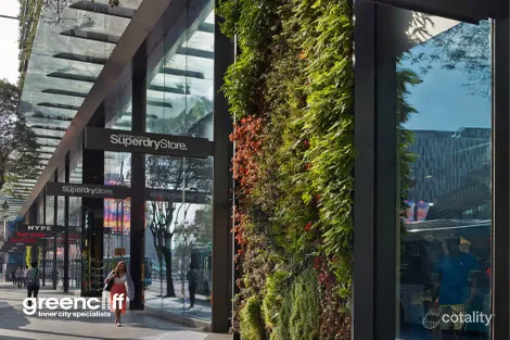 Property photo of 2 Chippendale Way Chippendale NSW 2008