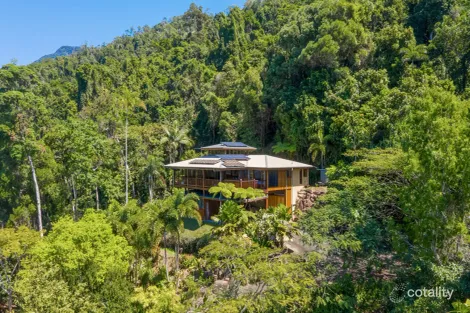163 Rykers Rd, Cape Tribulation, QLD 4873