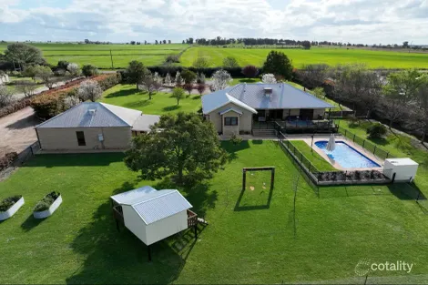 253 Farnell St, Forbes, NSW 2871