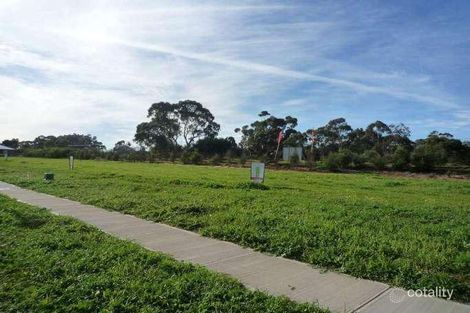 Property photo of 16 Catt Drive Strathalbyn SA 5255