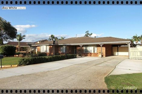 Property photo of 32 Sacramento Avenue Beechboro WA 6063