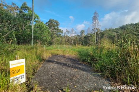 Property photo of 911 Euluma Creek Road Julatten QLD 4871