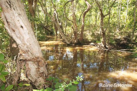 Property photo of 911 Euluma Creek Road Julatten QLD 4871