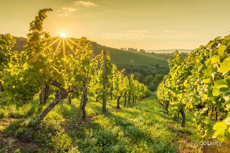 Lot 4/31 Lalors Rd, Healesville, VIC 3777