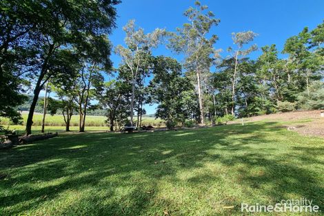 Property photo of 9 Splendour Road Mossman QLD 4873