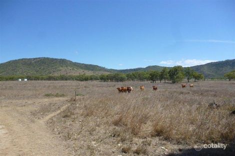 Property photo of 52 Gum Tree Avenue Bouldercombe QLD 4702