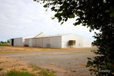 Property photo of 43 Poplar Road Curlwaa NSW 2648