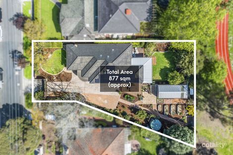 Property photo of 21A Sunnyside Grove Bentleigh VIC 3204