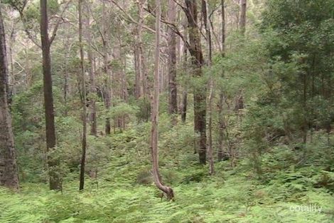 Property photo of Nicklasons Road Pyengana TAS 7216