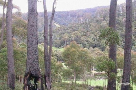 Property photo of Nicklasons Road Pyengana TAS 7216