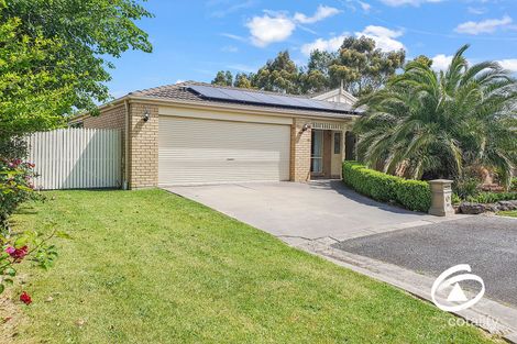 16 Warrenwood Pl, Narre Warren, VIC 3805