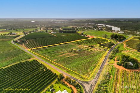 239 Pumps Rd, Red Cliffs, VIC 3496