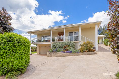 Property photo of 9 Bounty Close Hinton NSW 2321