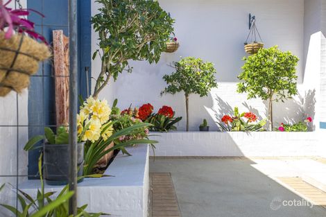 Property photo of 1/2A Cassia Place Catalina NSW 2536