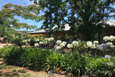 Property photo of 101 Reeden Lane Table Top NSW 2640