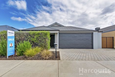 41 Lancewood St, Banksia Grove, WA 6031