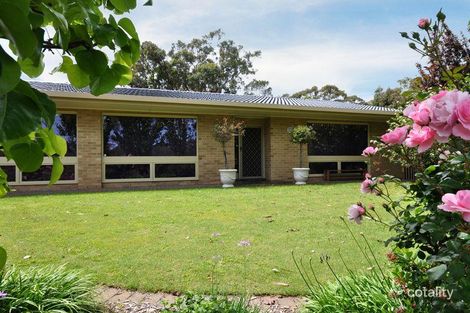 19 Hartley St, Flagstaff Hill, SA 5159