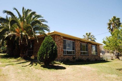 1052 Nundle Rd, Piallamore, NSW 2340