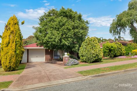 16 Plover Ave, Modbury Heights, SA 5092
