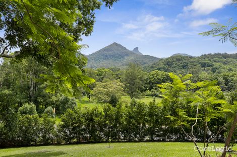 Property photo of 1245 Kyogle Road Uki NSW 2484
