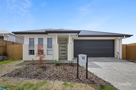 12 Kendall St, Walloon, QLD 4306