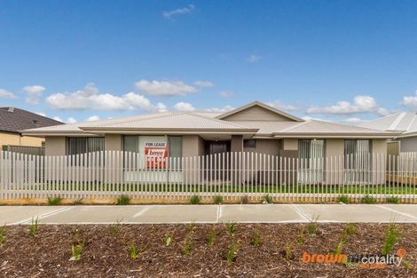 74 Cinnabar Dr, Eglinton, WA 6034