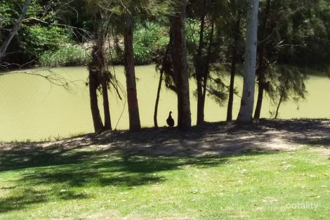 Property photo of 60 Alice Street Barraba NSW 2347