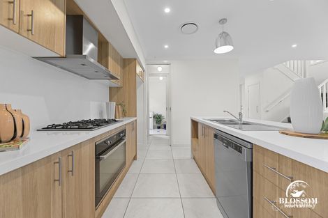 Property photo of 97 Watkin Crescent Marsden Park NSW 2765