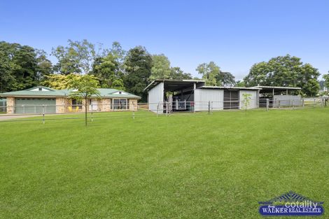 Property photo of 102 Progress Road White Rock QLD 4868