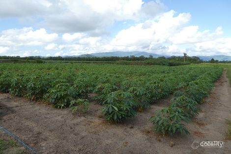 35 Formosa Rd, Silkwood, QLD 4856