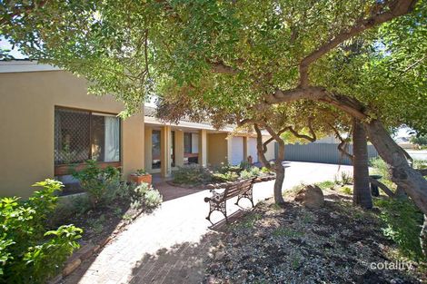 Property photo of 3 Skua Street Stirling WA 6021