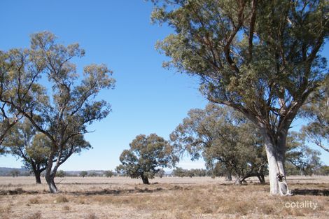 379 Paynes Rd, Quipolly, NSW 2343