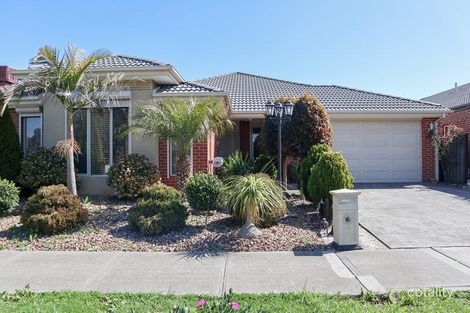 6 Crewe Lane, Craigieburn, VIC 3064