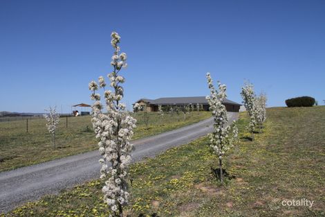 11 Buckley Rd, Marchmont, NSW 2582