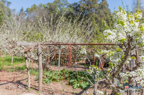 Property photo of 496 Albany Highway Bedfordale WA 6112