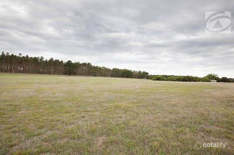 Property photo of 11997 Riddoch Highway Struan SA 5271