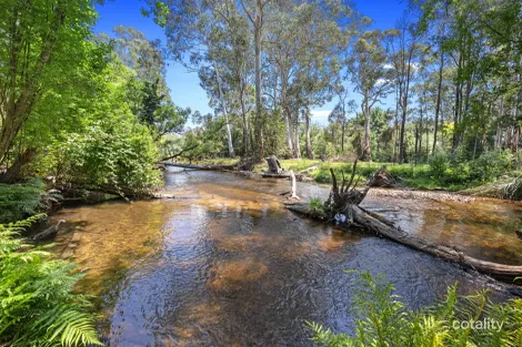 Property photo of 40 Mareeba Avenue Buxton VIC 3711
