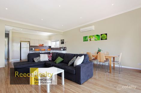Property photo of 47 Lorna Street Waratah NSW 2298