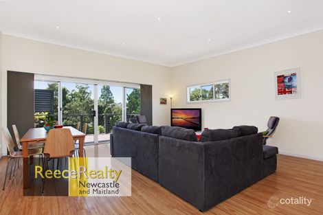 Property photo of 47 Lorna Street Waratah NSW 2298