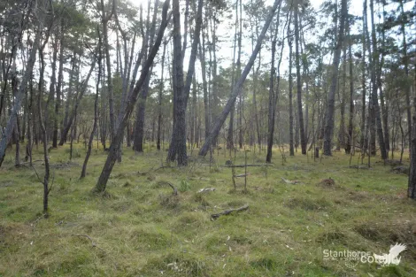 Lot 121 Reserve Rd, Sugarloaf, QLD 4380