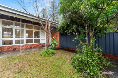 3/36a Pier St, Glenelg South, SA 5045