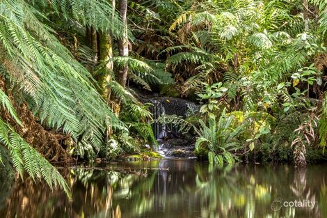 230 Fyfes Rd, Mountain River, TAS 7109