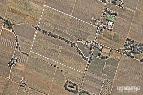 981 Light Pass Rd, Vine Vale, SA 5352