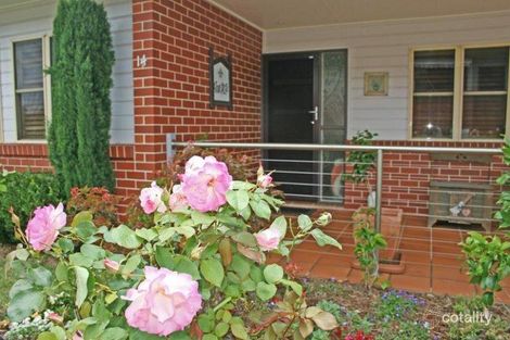 Property photo of 14 Capo Lane Tamborine Mountain QLD 4272