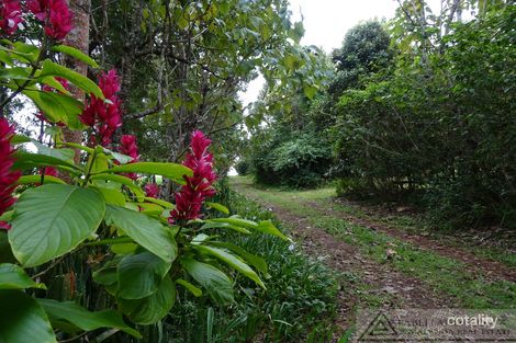 311 Gadgarra Rd, Lake Barrine, QLD 4884