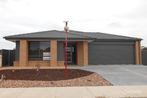 Property photo of 827 Callaghan Street Jackass Flat VIC 3556