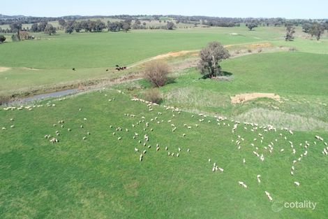 146 Springfield Lane, Tarcutta, NSW 2652