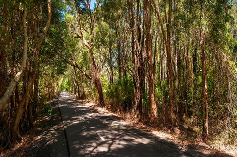 Property photo of 97 Old Belmont Road Belmont North NSW 2280