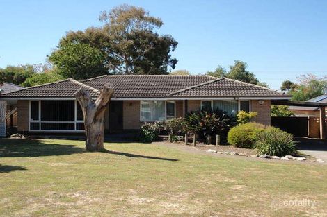 7 Merian Cl, Bentley, WA 6102